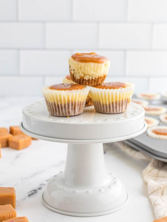 Mini Cheesecakes with Wine Gelées Recipe