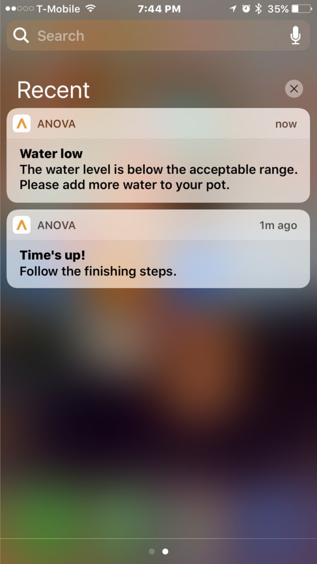 Copycat Starbucks Sous Vide Egg Bites ⋆ by Pink