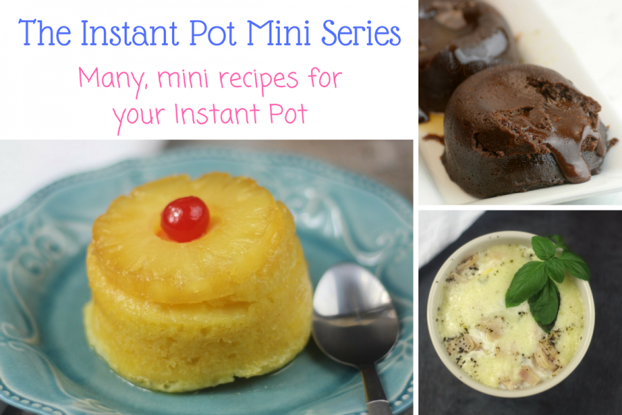 Instant pot mini online recipes