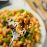 taco pasta recipe on a fork