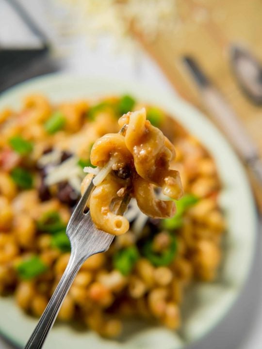 Instant Pot Cheesy Salsa Taco Pasta