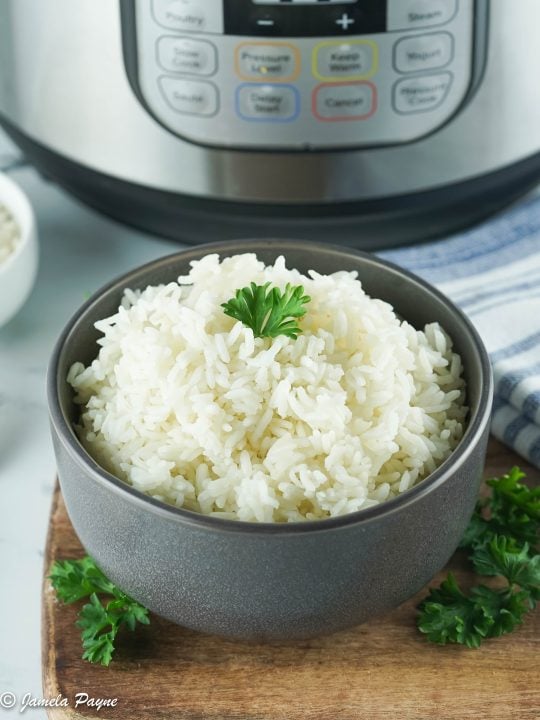 Instant pot rice cooker white online rice