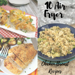 Air Fryer Chicken Breast Recipes