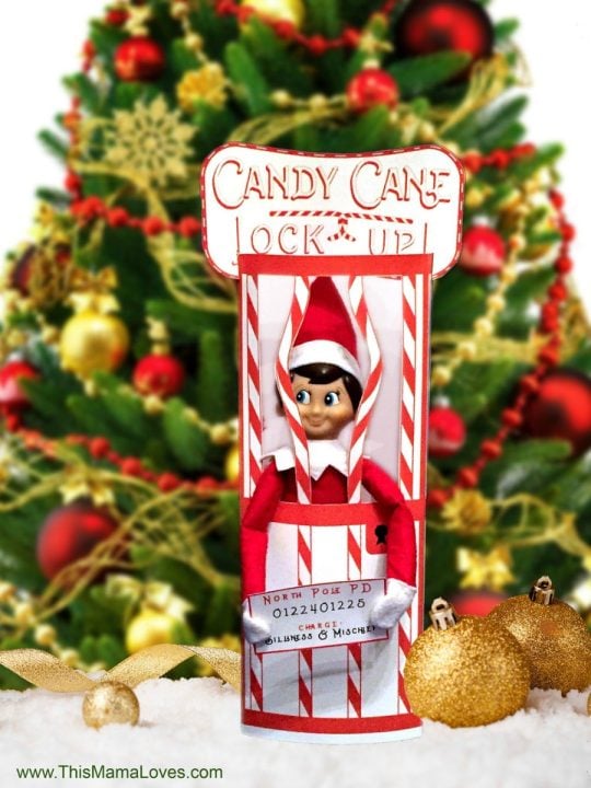 Elf On The Shelf Ideas