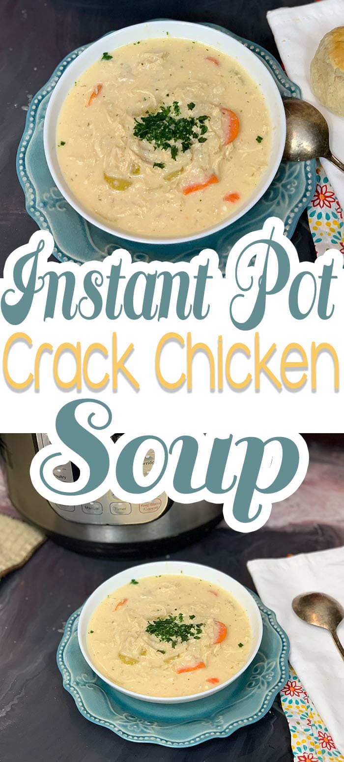 This crack chicken recipe did not disappoint. It is an adaptation of my Crack Chicken With Rice, a more hearty crack chicken recipe, and it's one that my family also loves.