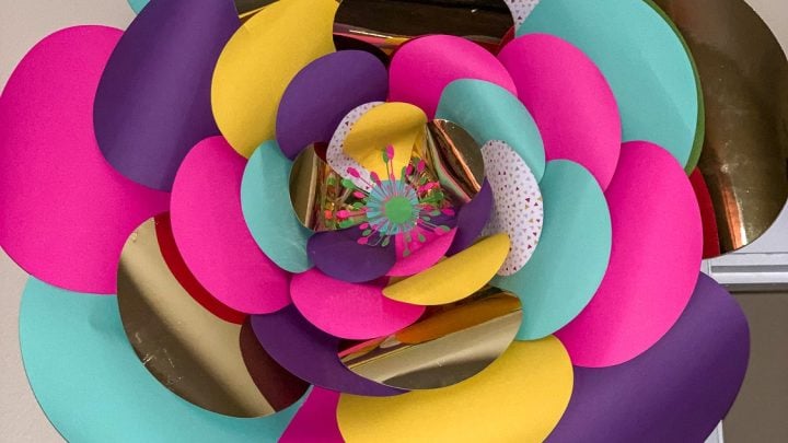 multi colored paper flower
