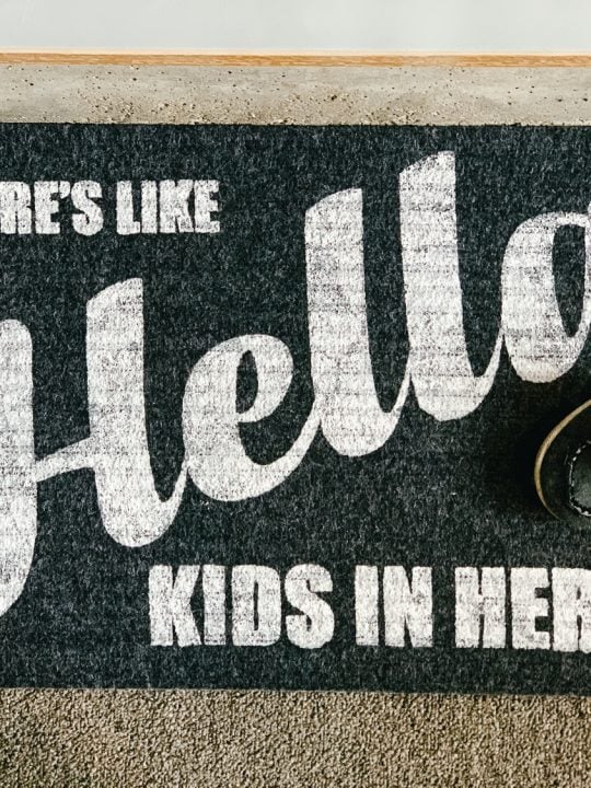 Dollar Tree Diy Funny Doormat With Free Cut File